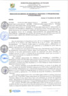 Vista preliminar de documento rgi60