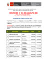 Vista preliminar de documento COMUNICADO 017-PLAZAS NO DOCENTES EBE 11-03-2025
