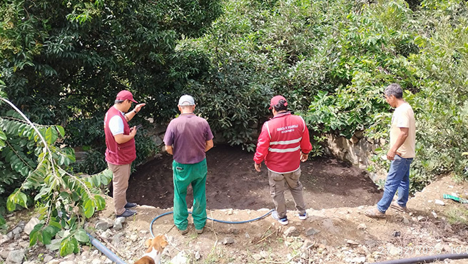 Plan de negocios: mejoramiento de la producción de palta VAR. fuerte para el fortalecimiento de la competitividad comercial