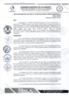 Vista preliminar de documento RDS N 103 AJ
