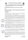 Vista preliminar de documento 0070-2025RG