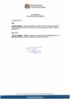 Vista preliminar de documento FE de erratas