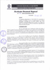 Vista preliminar de documento RDR 081-2025