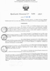 Vista preliminar de documento RD N° 290-2025