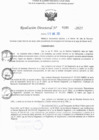 Vista preliminar de documento RD N° 291-2025