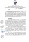 Vista preliminar de documento RDR N°184-2025-11-03-2025