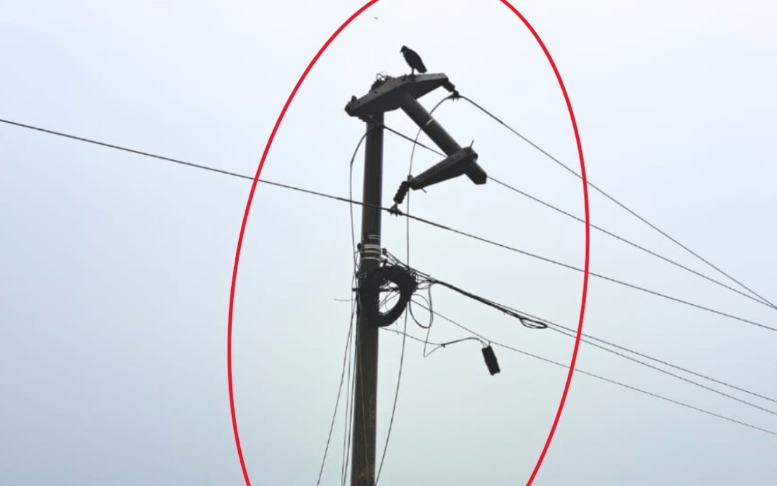 Nuevo acto de sabotaje contra la infraestructura eléctrica en Zarumilla que afecta a la población