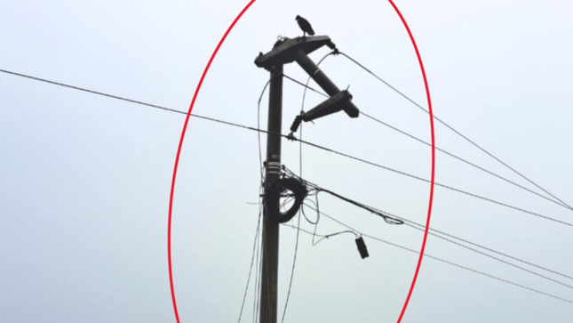 Nuevo acto de sabotaje contra la infraestructura eléctrica en Zarumilla que afecta a la población