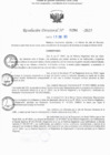 Vista preliminar de documento RD N° 294-2025