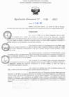 Vista preliminar de documento RD N° 295-2025