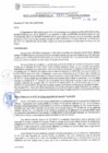 Vista preliminar de documento RG. 000053-2025-GSATDE