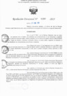 Vista preliminar de documento RD N° 297-2025