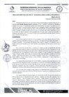 Vista preliminar de documento RDS N 149 AJ