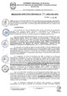 Vista preliminar de documento RDR 044-2025