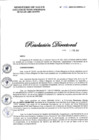 Vista preliminar de documento RD N° 088-2022-DG-DIRIS-LC