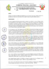 Vista preliminar de documento RESOLUCION N°133