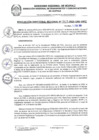 Vista preliminar de documento RDR 046-2025