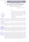 Vista preliminar de documento RDR 087-2025