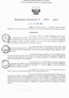 Vista preliminar de documento RD N° 309-2025