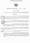 Vista preliminar de documento RD N° 310-2025