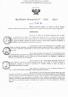 Vista preliminar de documento RD N° 311-2025