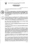 Vista preliminar de documento N° 004-2025