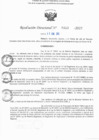 Vista preliminar de documento RD N° 313-2025