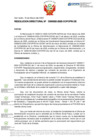 Vista preliminar de documento RD Nº D000020-2025-DE