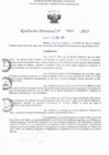Vista preliminar de documento RD N° 317-2025