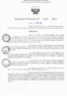 Vista preliminar de documento RD N° 318-2025