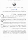 Vista preliminar de documento RD N° 319-2025