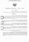 Vista preliminar de documento RD N° 321-2025
