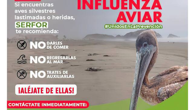 Unidad Funcional de Imagen Institucional
