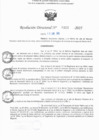 Vista preliminar de documento RD N° 325-2025