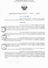 Vista preliminar de documento RD N° 332-2025