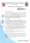 Vista preliminar de documento RESOLUCION GERENCIAL N°11-2025-MDI-GDEYS