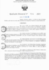 Vista preliminar de documento RD N° 334-2025