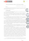 Vista preliminar de documento rd052-2025