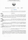 Vista preliminar de documento RD N° 342-2025