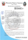 Vista preliminar de documento RESOLUCION GERENCIAL N°25-2025-MDI-GM