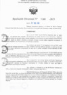Vista preliminar de documento RD N° 346-2025