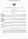 Vista preliminar de documento RD N° 347-2025