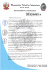 Vista preliminar de documento RESOLUCION GERENCIAL N°29-2025-MDI-GDEYS