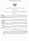Vista preliminar de documento RD N° 355-2025