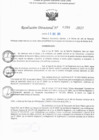 Vista preliminar de documento RD N° 358-2025
