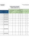 Vista preliminar de documento Cuadro de Mérito Preliminar