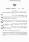 Vista preliminar de documento RD N° 376-2025