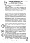 Vista preliminar de documento RGR0115-2025-GRI