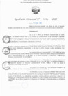 Vista preliminar de documento RD N° 379-2025