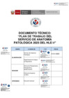 Vista preliminar de documento Plan de Trabajo del Servicio de Anatomía Patológica – 2025 del Hospital de Lima Este – Vitarte